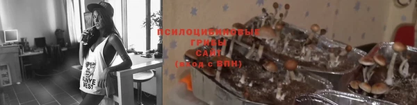 прущая мука Алексеевка