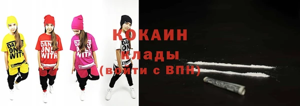 шишки Слюдянка