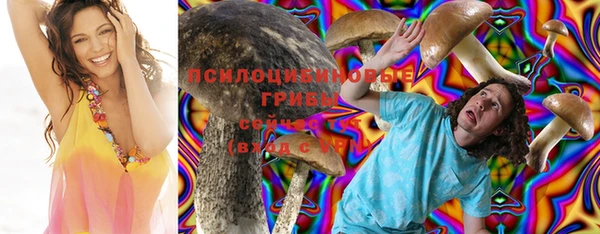 стафф Алексин