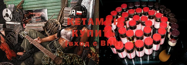 шишки Слюдянка