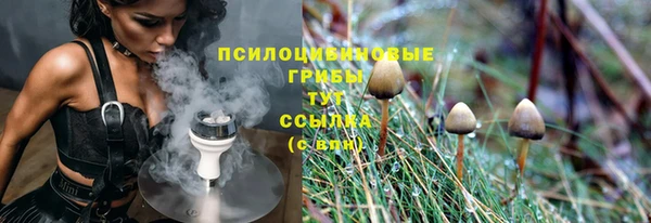 стафф Алексин