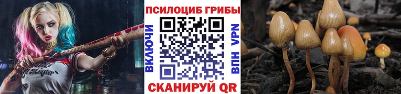 Псилоцибиновые грибы MAGIC MUSHROOMS  Жуковка 